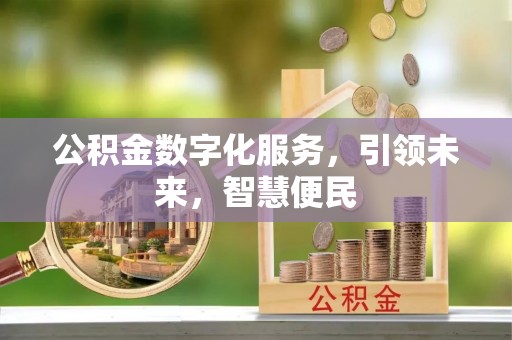平顶山公积金数字化服务，引领未来，智慧便民
