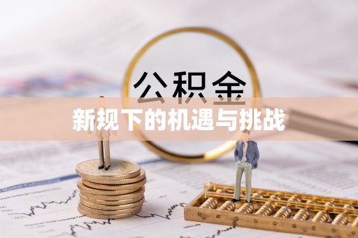 平顶山新规下的机遇与挑战