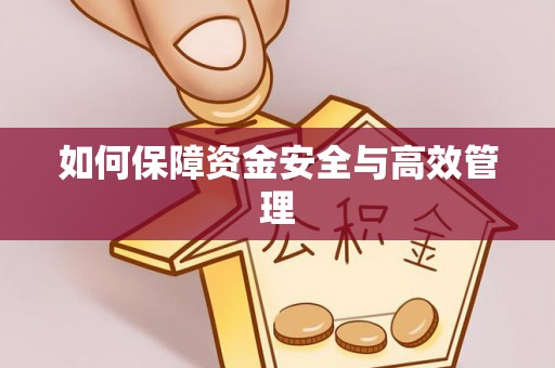 平顶山如何保障资金安全与高效管理