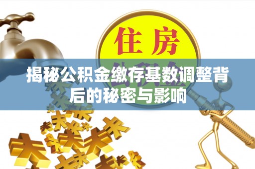 平顶山揭秘公积金缴存基数调整背后的秘密与影响