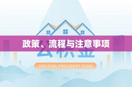 平顶山政策、流程与注意事项