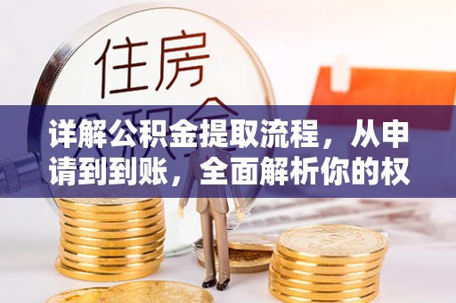 平顶山详解公积金提取流程，从申请到到账，全面解析你的权益与操作步骤