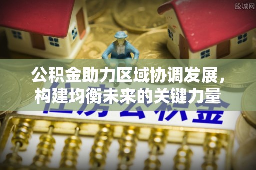 平顶山公积金助力区域协调发展，构建均衡未来的关键力量