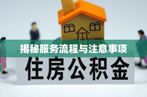 平顶山揭秘服务流程与注意事项