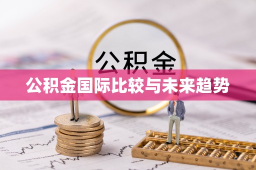平顶山公积金国际比较与未来趋势