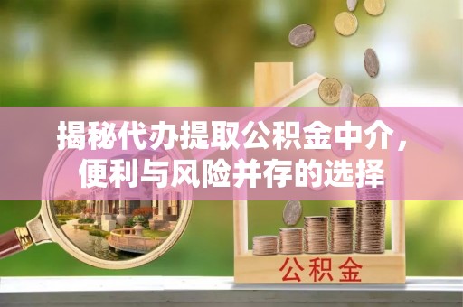 平顶山揭秘代办提取公积金中介，便利与风险并存的选择