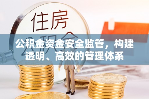 平顶山公积金资金安全监管，构建透明、高效的管理体系