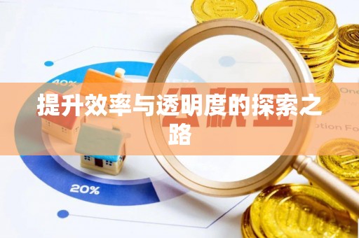 平顶山提升效率与透明度的探索之路
