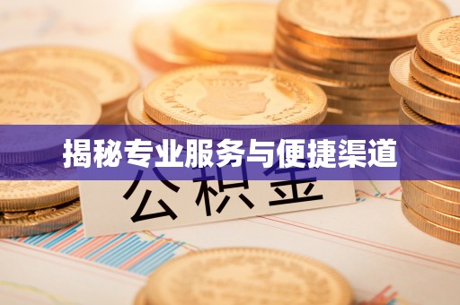 平顶山揭秘专业服务与便捷渠道