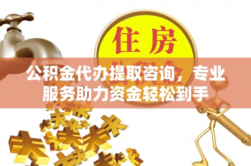 平顶山公积金代办提取咨询，专业服务助力资金轻松到手