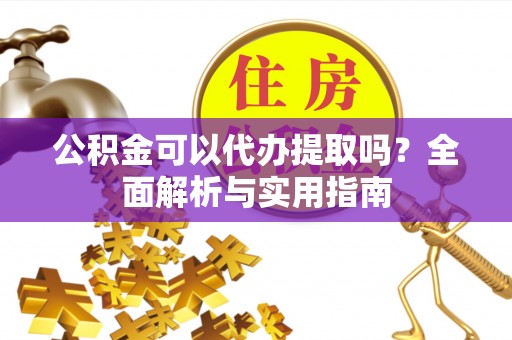 平顶山公积金可以代办提取吗？全面解析与实用指南