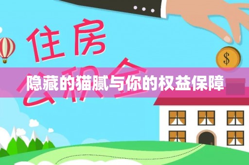平顶山隐藏的猫腻与你的权益保障