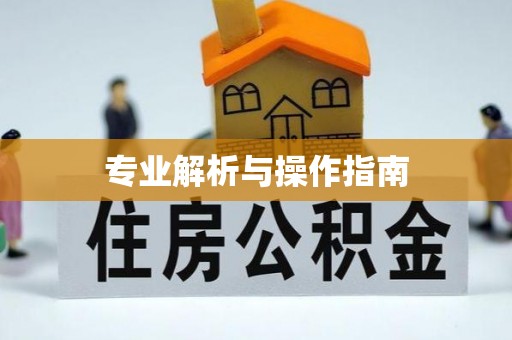 平顶山专业解析与操作指南