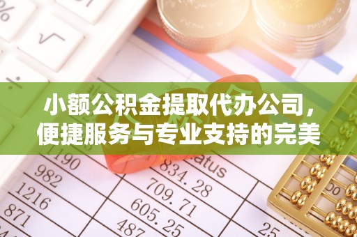 平顶山小额公积金提取代办公司，便捷服务与专业支持的完美结合