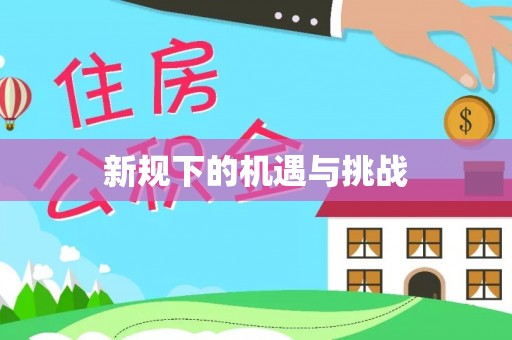 平顶山新规下的机遇与挑战