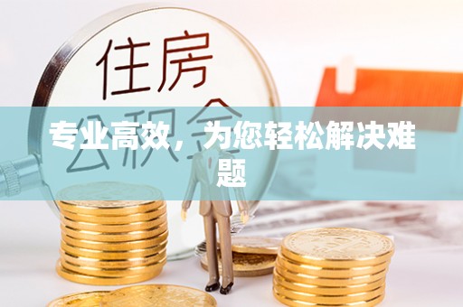 平顶山专业高效，为您轻松解决难题