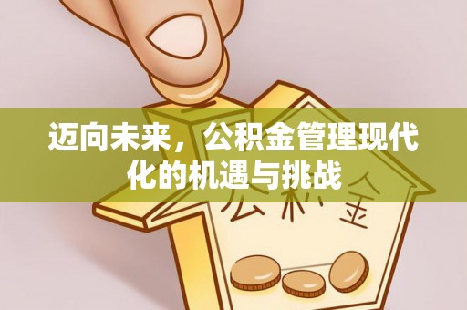 平顶山迈向未来，公积金管理现代化的机遇与挑战