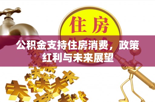 平顶山公积金支持住房消费，政策红利与未来展望