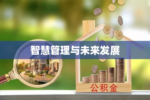 平顶山智慧管理与未来发展
