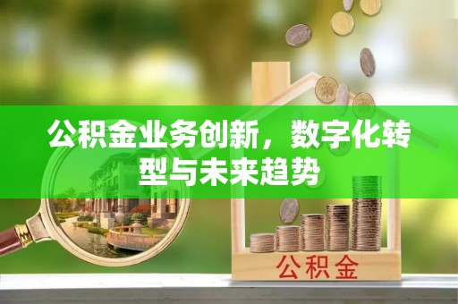 平顶山公积金业务创新，数字化转型与未来趋势