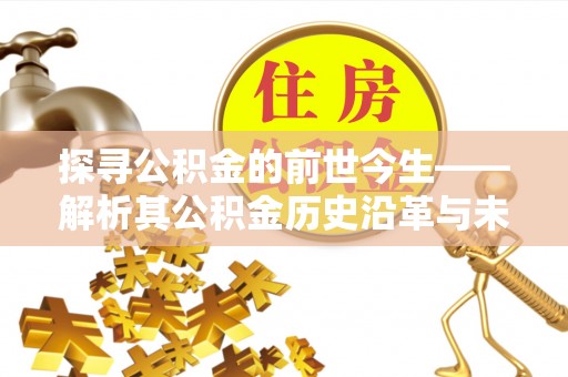 平顶山探寻公积金的前世今生——解析其公积金历史沿革与未来方向