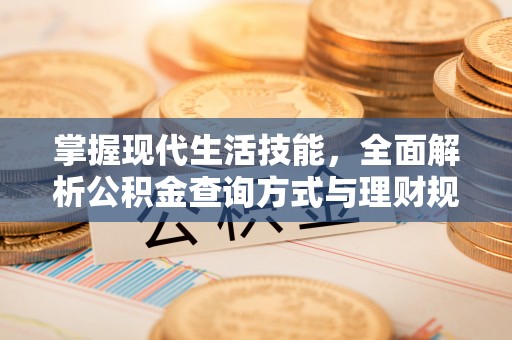 平顶山掌握现代生活技能，全面解析公积金查询方式与理财规划