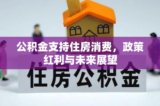 平顶山公积金支持住房消费，政策红利与未来展望