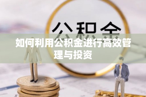 平顶山如何利用公积金进行高效管理与投资