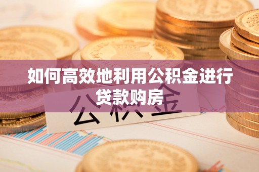 平顶山如何高效地利用公积金进行贷款购房