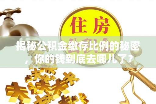 平顶山揭秘公积金缴存比例的秘密，你的钱到底去哪儿了？
