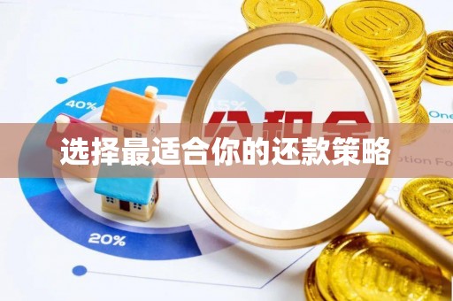 平顶山选择最适合你的还款策略