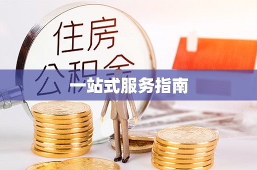 平顶山一站式服务指南