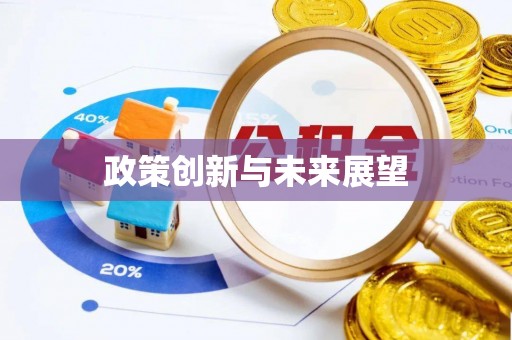 平顶山政策创新与未来展望