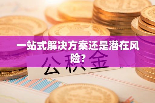 平顶山一站式解决方案还是潜在风险？