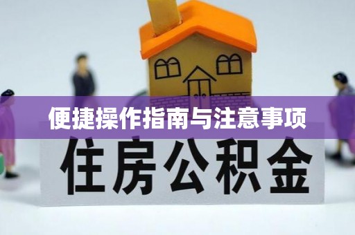 平顶山便捷操作指南与注意事项